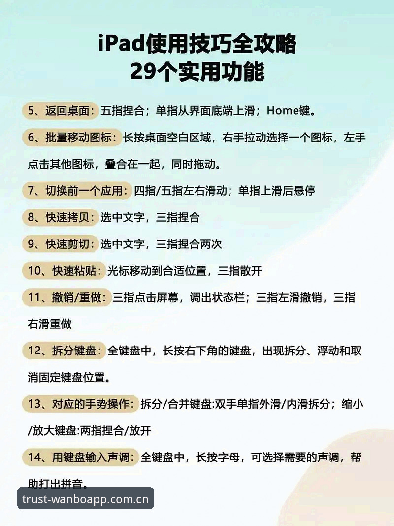 万博安全平台使用指南：从下载到互动的完整操作手册